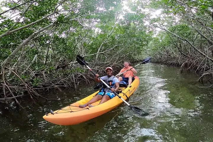 Mangroves and Manatees - Guided Kayak Eco Tour
