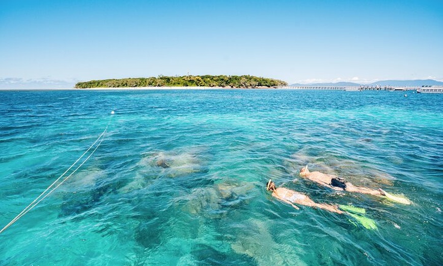 Image 1: Snorkelling or Glass Bottom Boat at Green Island from Cairns