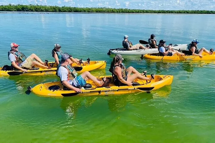 Deluxe Kayak Tour Marco Island and Naples, Florida