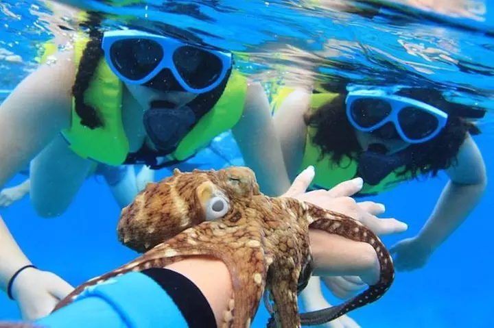 Ko Olina Catamaran Sail and Snorkel
