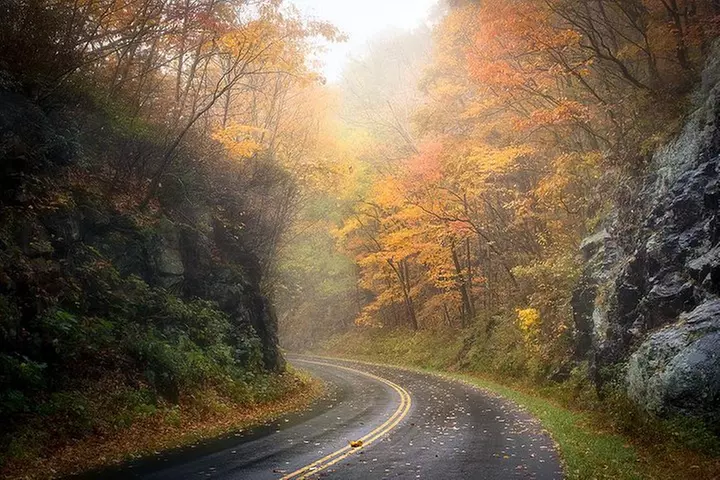 Custom Half-Day Photo Tour with Photography Lessons from Asheville