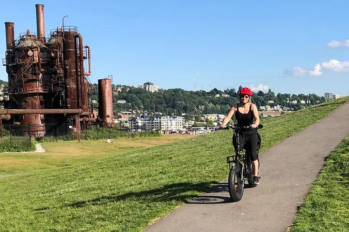 3 Hours Electric Bike Tour of Seattle's Waterways, Nature and Neigh...