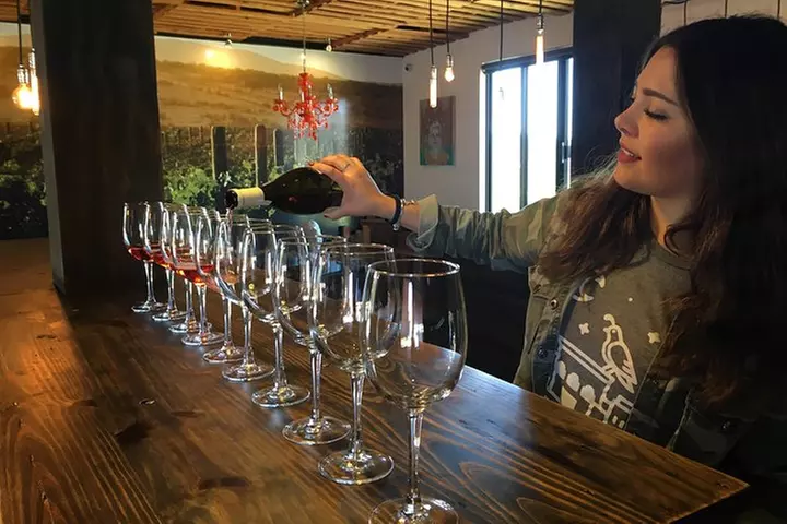 Luxury Private Wine Tasting Tour to Guadalupe Valley from San Diego
