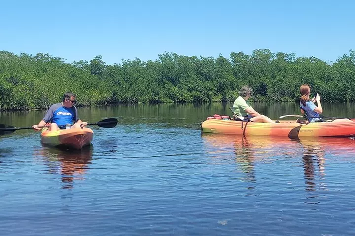 Kayak through Mangrove Forests in the Florida Keys