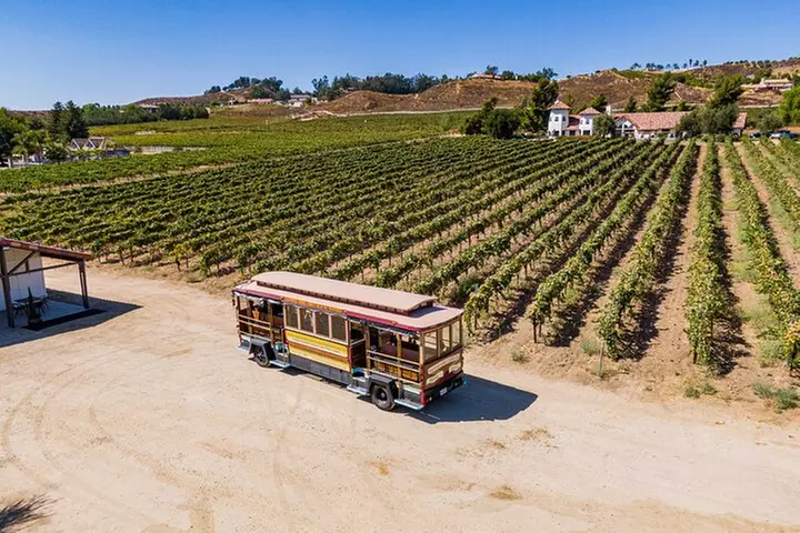 All-Inclusive Social Wine Tour