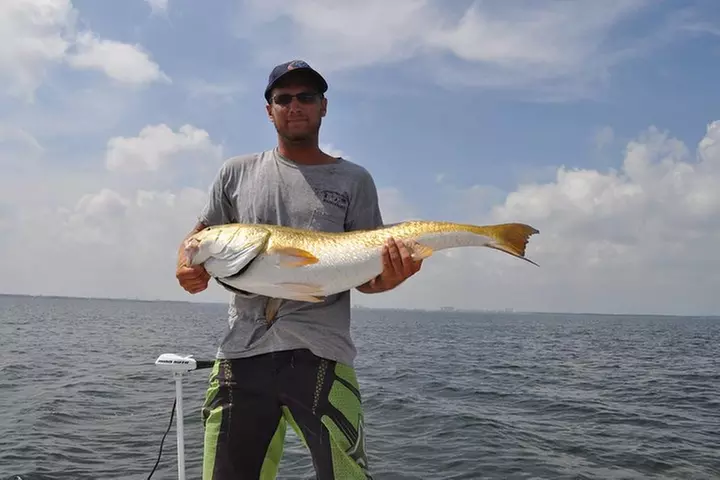 4 hour Fishing Charter with a Tampa Native
