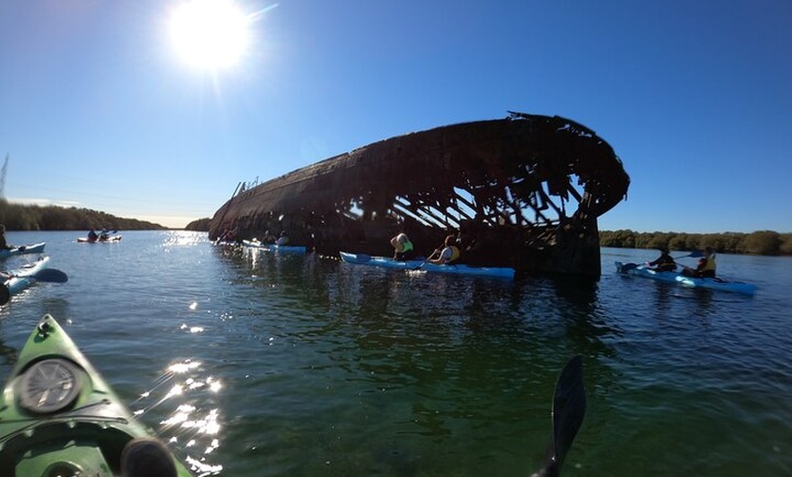 Image 15: Dolphin Sanctuary Kayak Tour Adelaide