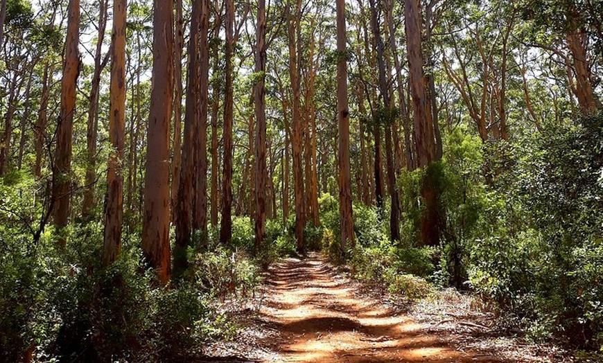 Image 6: Explore Margaret Rivers' national parks on a guided Cape to Cape tr...