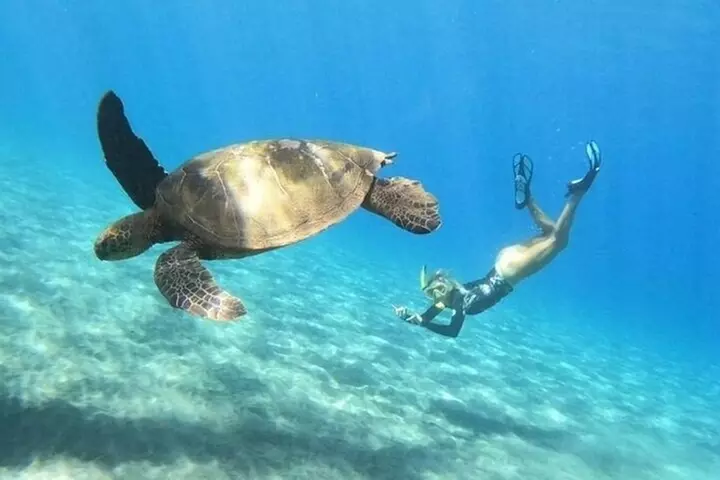 Clear Bottom Kayak and Snorkel Tour at Turtle Town, Makena