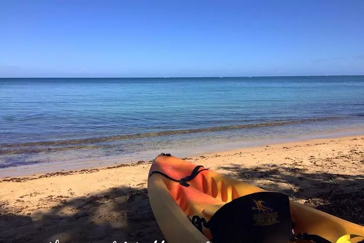 All Day Kayak Rental in Puerto Rico - Primary Image