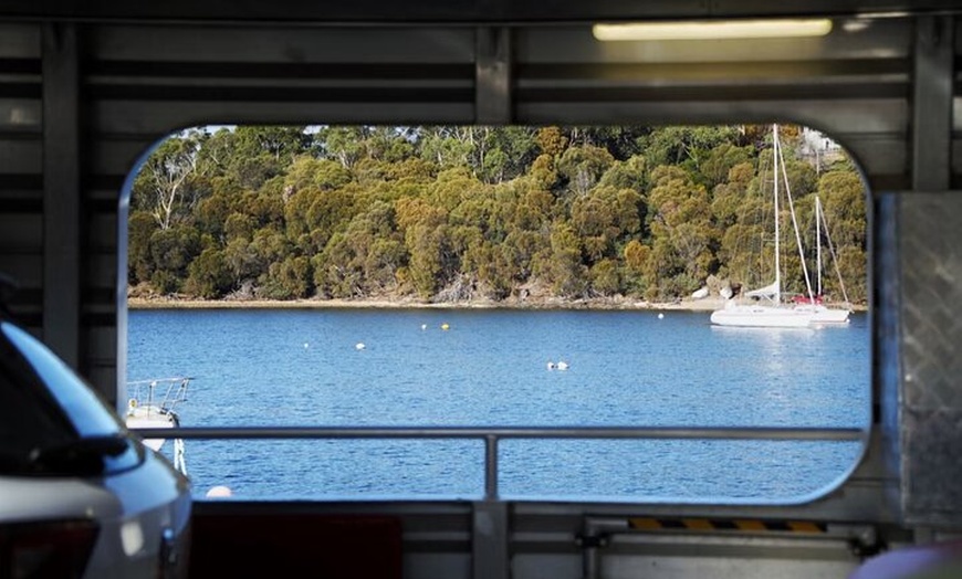 Image 3: Bruny Island Food & Wildlife Guided Tour with Coastal Views