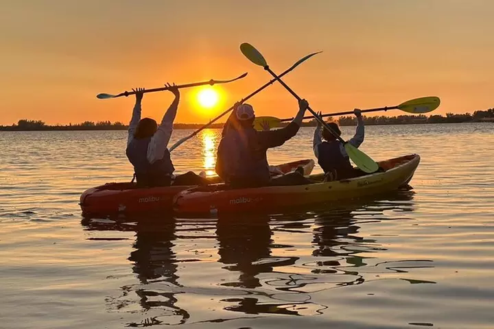 Sunset Kayaking with Dolphins