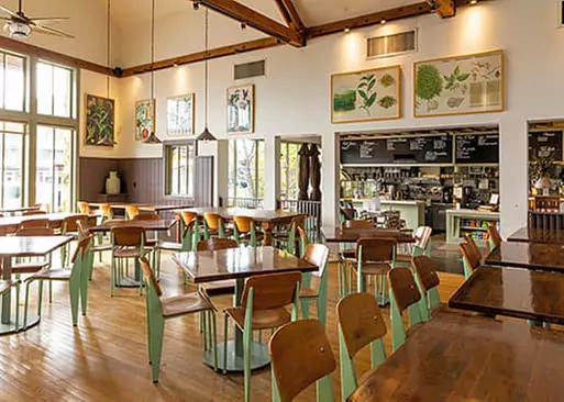 5% Cash Back at Coral Tree Cafe