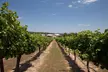 Chef's 4-Course Wine Country Experience - Second Medium