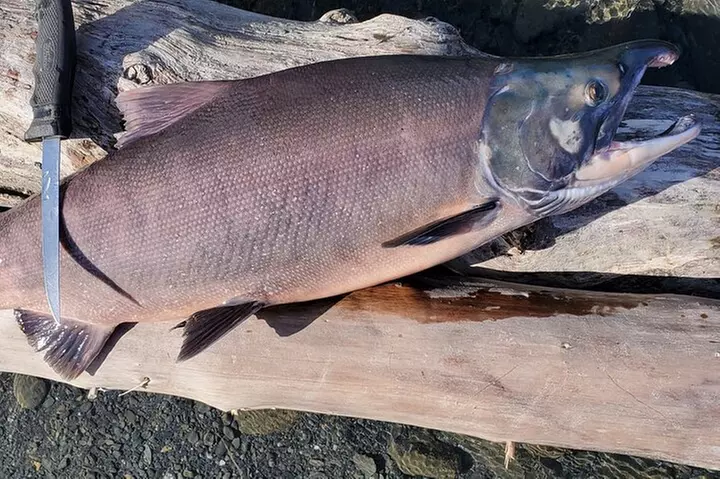 Alaskan Salmon 8-Hour Fishing Experience