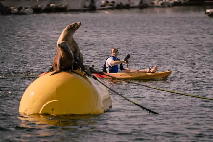 Tandem Kayak Rentals in Mission Bay