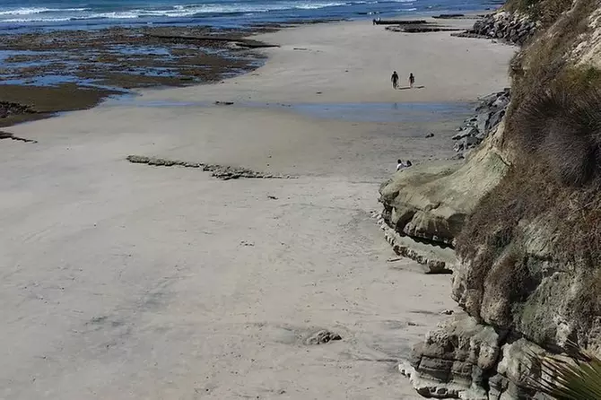 Explore the Mountains and Beaches of San Diego - Primary Image