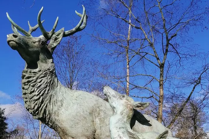 Plongez dans le Monde du Jeu de L'Élixir de l'Alchimiste à Nantes