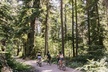 The Stanley Park Bicycle Tour by Cycle City Tours - Second Medium