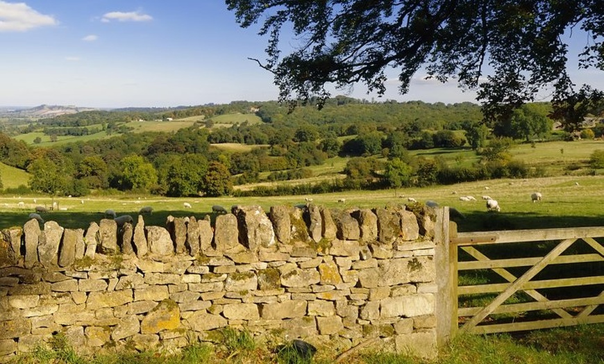 Image 3: Small-Group Cotswolds Tour (From London)