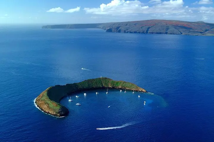 Molokini and Turtle Town Snorkeling Adventure Aboard the Malolo - Primary Image