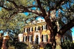Charleston History, Homes, and Architecture Guided Walking Tour - Second Medium