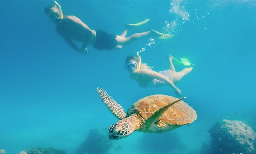 Image 5: Snorkelling and Glass Bottom Boat at Green Island from Cairns