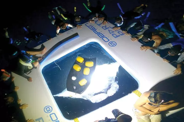 Manta Ray Night Snorkel Tour in Kailua-Kona, Big Island