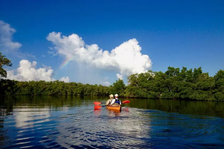 Marco Island Mangrove Tunnel and Maze Adventure Small group size