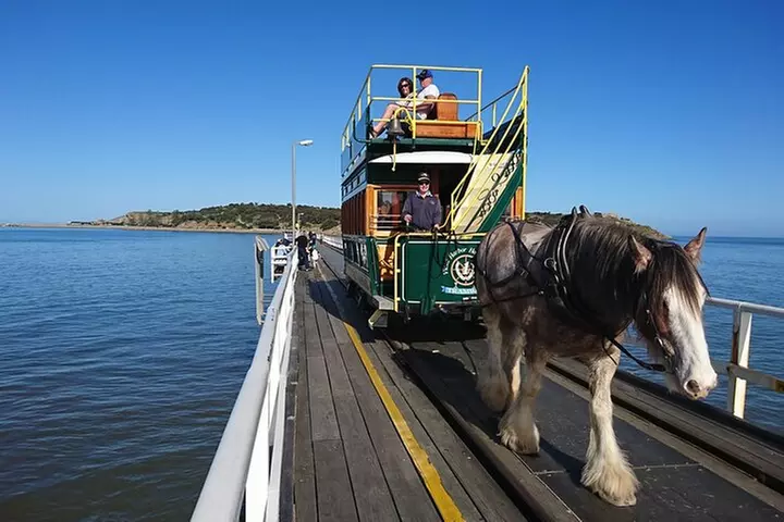 Coorong 3 & 1/2 Lunch Cruise and Tour - Image 6