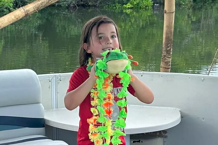 2 hour Dolphin Sightseeing Tour in Melbourne Florida