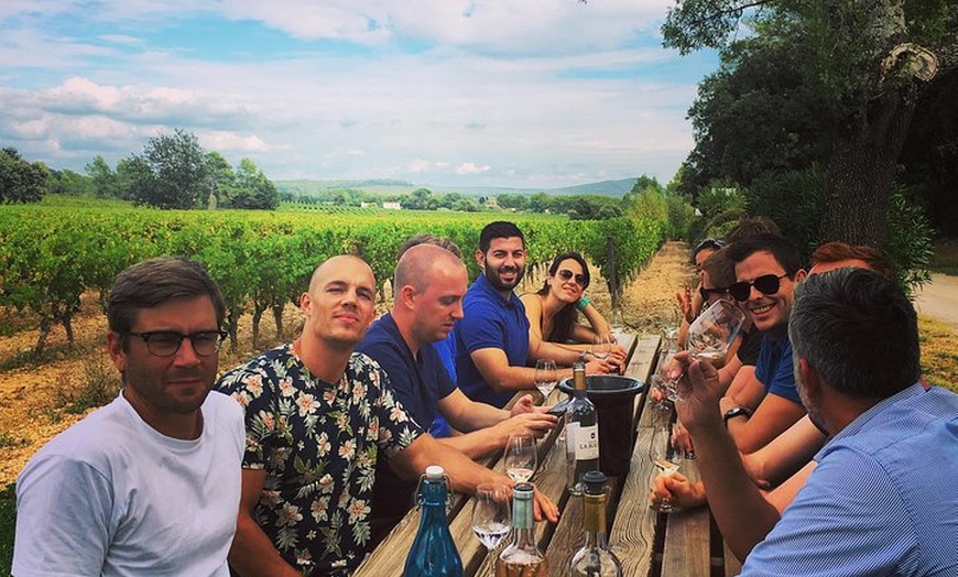 Image 10: Visite d'une demi-journée en petit groupe, vins du Languedoc, Pic S...