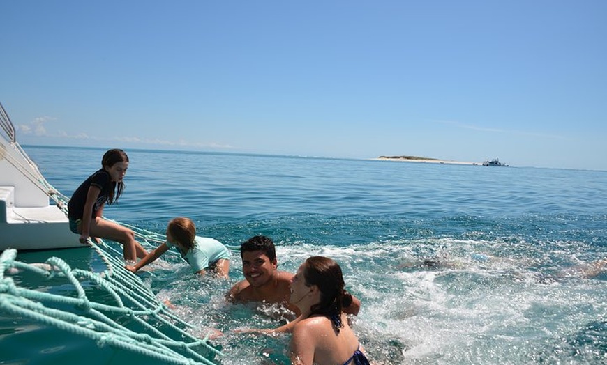 Image 6: Fraser Island & Dolphin Sailing Adventure