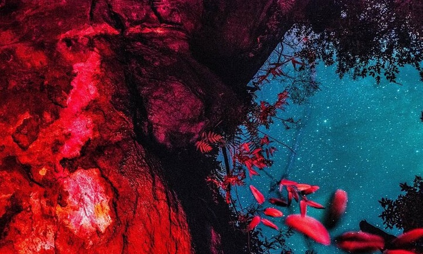 Image 12: Blue Mountains Hiking Glow worms Cave Wildlife Spotlighting Night A...