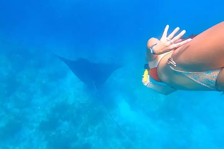 Explore the Waters of Key West - Second Medium