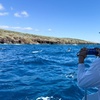 Image 24: Eco-Raft Tour: Maui-Lanai Snorkel / Dolphin Watch (Semi-Private)
