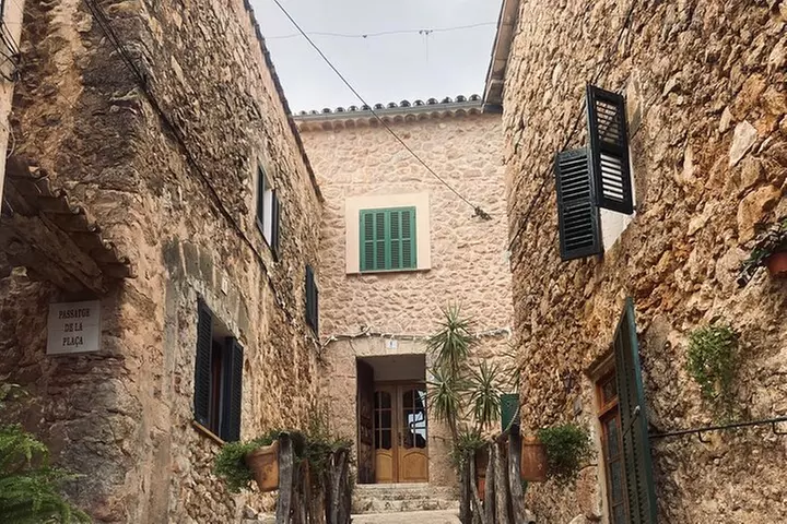 Tour VIP de día completo en las Islas Baleares