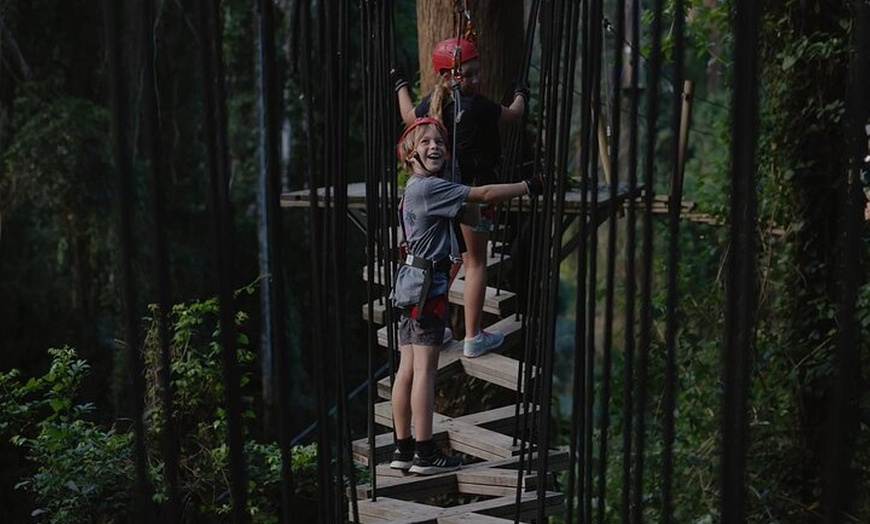 Image 13: Sunshine Coast Adventure Park TreeTop Challenge