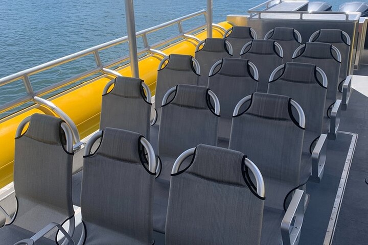 HIGH QUALITY Whale Watch Adventure Aboard Luxury Super Raft