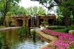 Dallas Arboretum and Botanical Gardens Tour - Second Medium