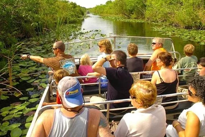 Everglades Wildlife Tour: Airboat & Alligator Habitat Experience