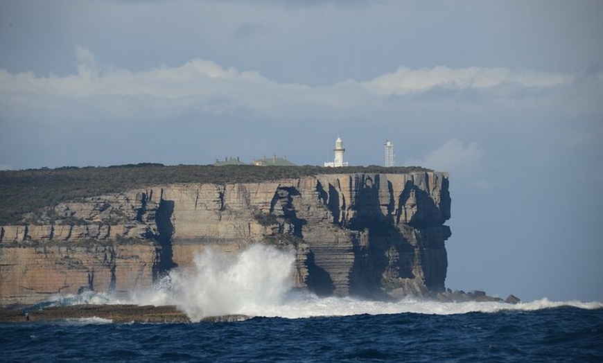 Image 2: Jervis Bay Passage Tour