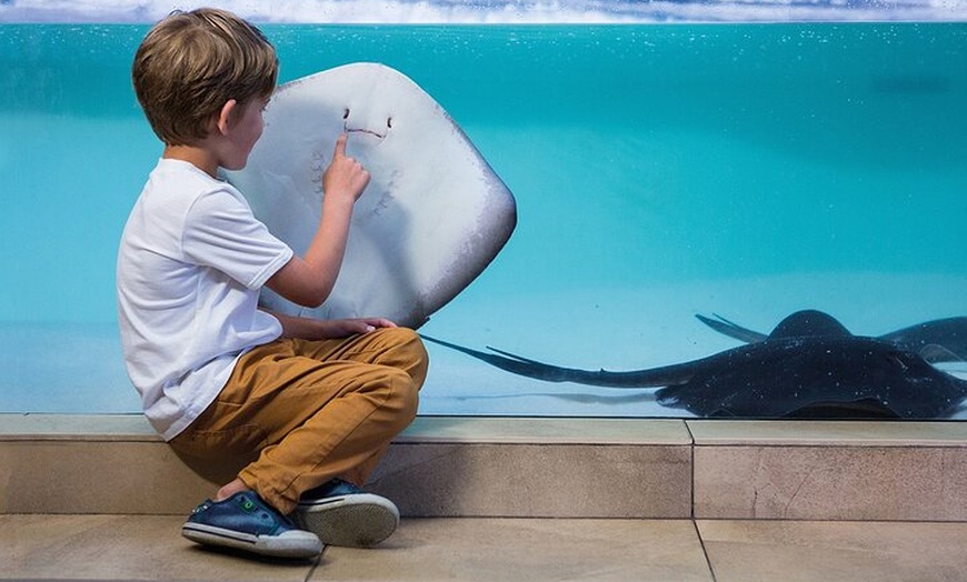 Image 19: Acuario de Palma con autobús de vuelta desde Port Alcudia