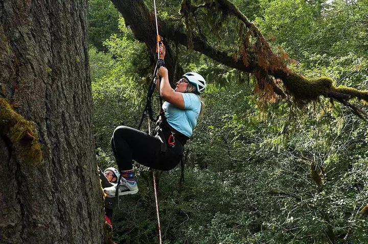 Sunset Tree Climb at Silver Falls State Park