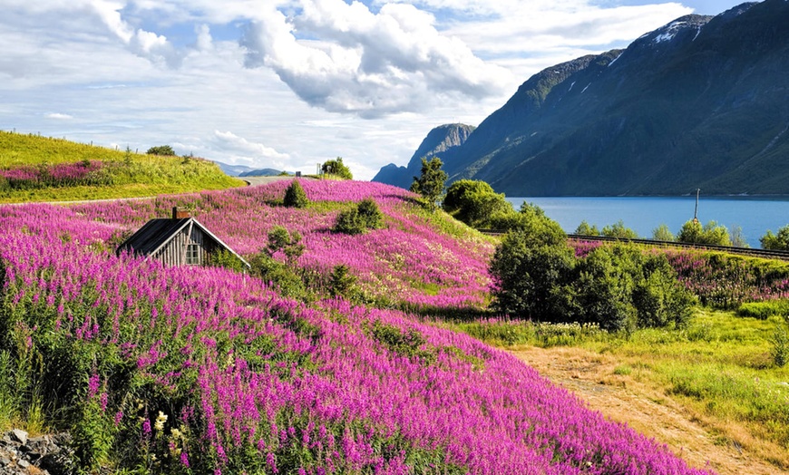 Image 10: ✈ NORVÈGE | Oslo - Croisière Côtière & Fjords de Norvège - Circuit