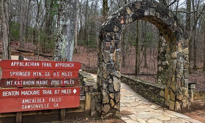 Image 6: Full Day Tour from Atlanta to Amicalola Falls and Blue Ridge