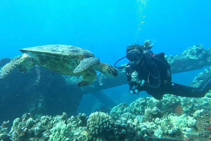 Discover Scuba Diving Class from Lahaina