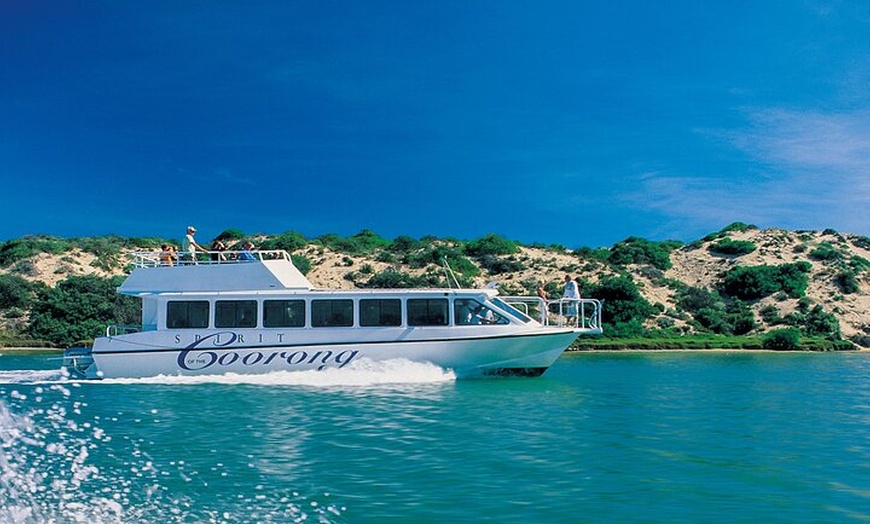 Image 5: Coorong 6-Hour Adventure Cruise