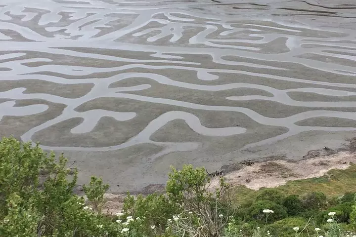 Cow Heaven: An Agricultural Self-Guided Driving Tour