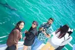 From Sydney: Port Stephens Dolphin, Koalas, Lunch & Sandboarding - Image 5